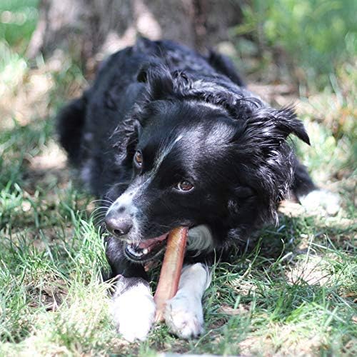 Brazilian Bully Sticks 100% Natural - 1 lb Bag