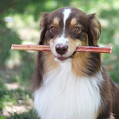 Brazilian Bully Sticks 100% Natural - 1 lb Bag