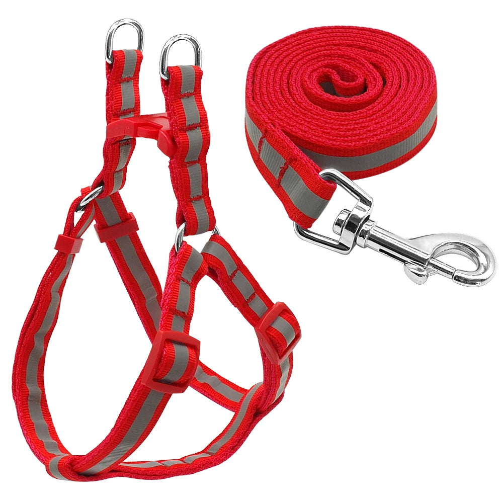 Arnés Reflectante de Nylon para Perros Pequeños y Medianos – Set con Correa, 7 Colores