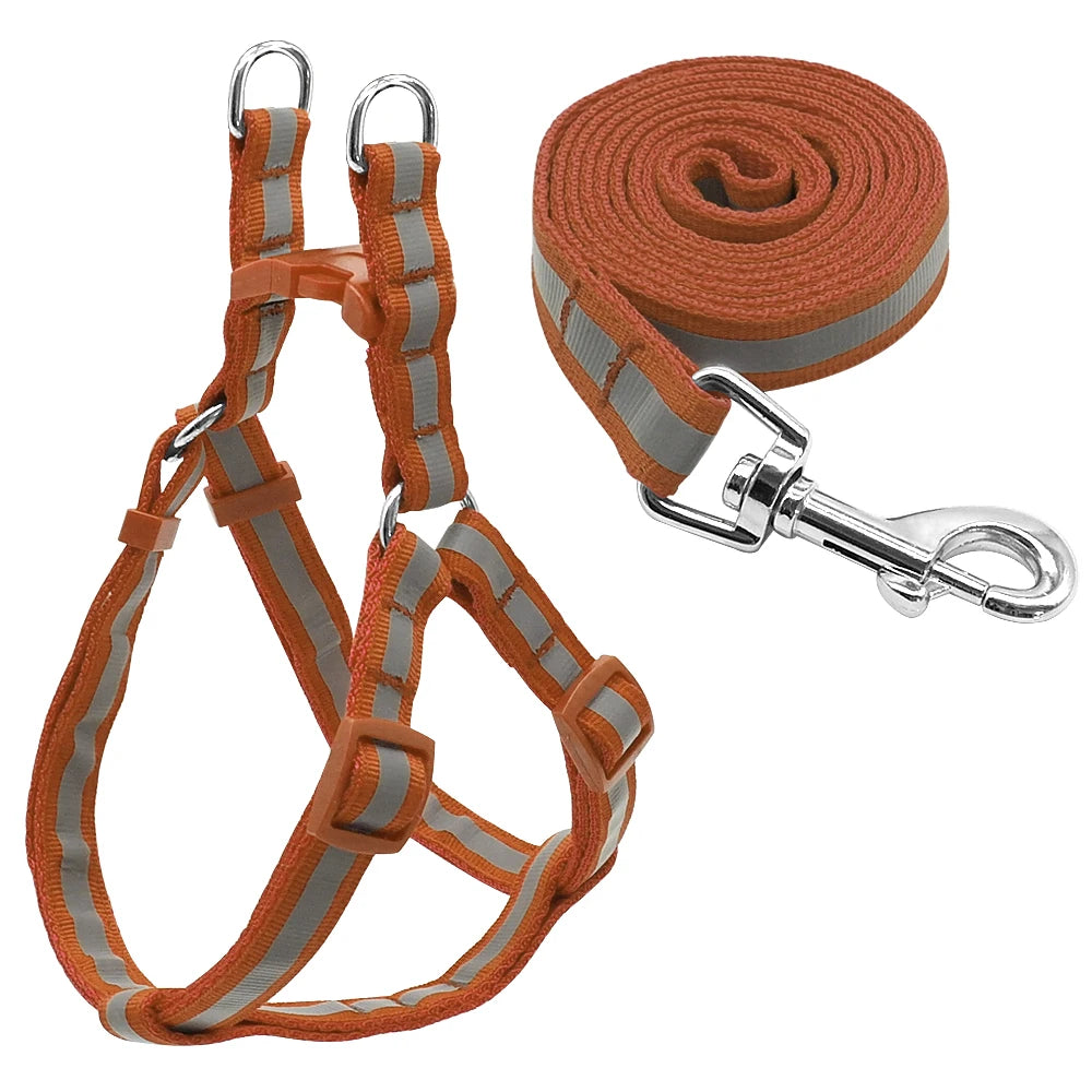 Arnés Reflectante de Nylon para Perros Pequeños y Medianos – Set con Correa, 7 Colores