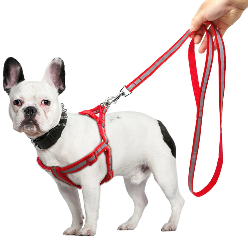 Arnés Reflectante de Nylon para Perros Pequeños y Medianos – Set con Correa, 7 Colores