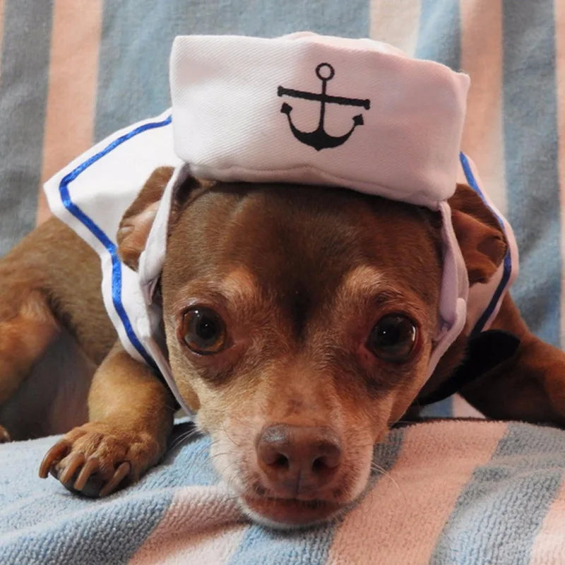 Sailor Costume for Cats and Dogs – Naval Jacket for Halloween and Christmas