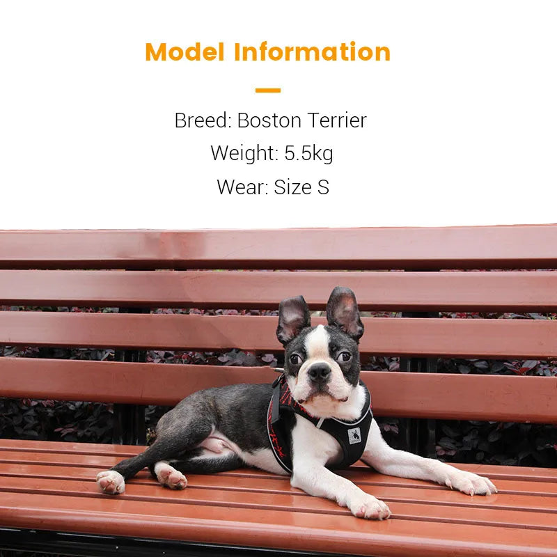 Reflective No-Pull Dog Harness for Small & Medium Dogs — Padded Breathable Vest