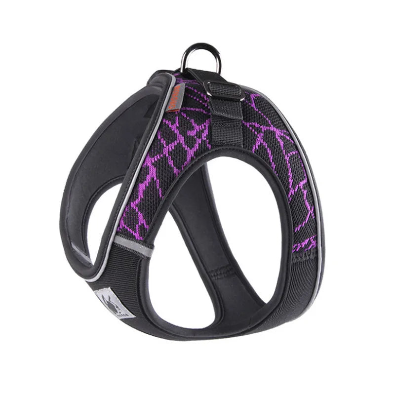 Reflective No-Pull Dog Harness for Small & Medium Dogs — Padded Breathable Vest