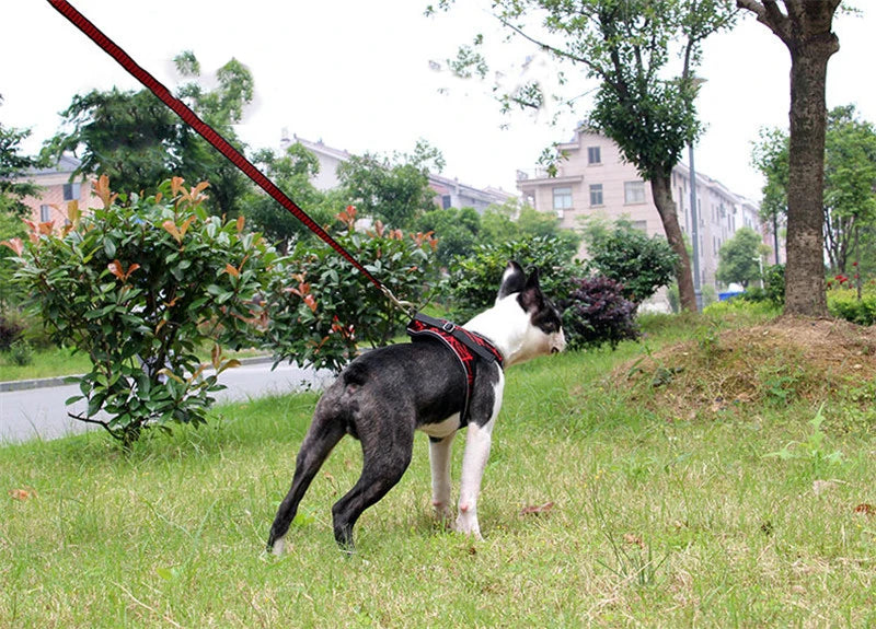 Reflective No-Pull Dog Harness for Small & Medium Dogs — Padded Breathable Vest