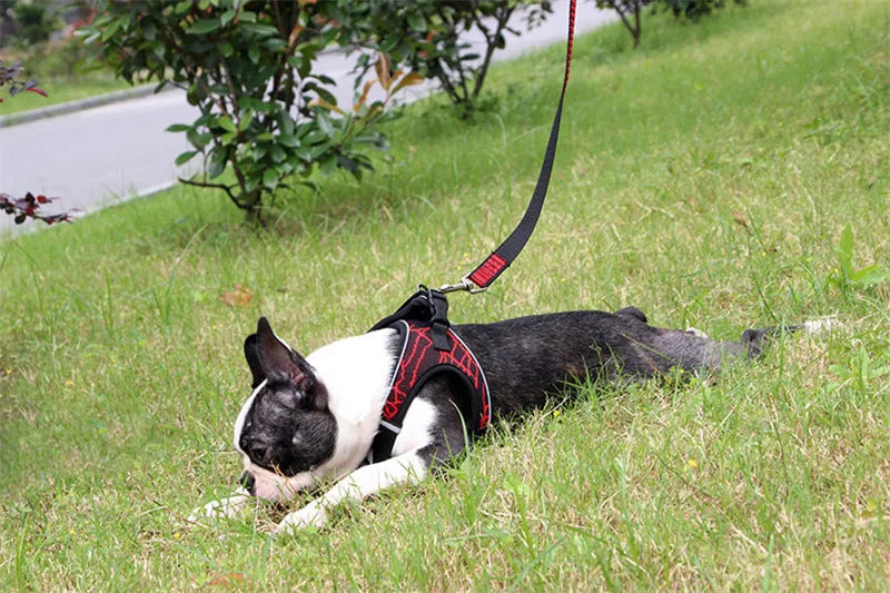 Reflective No-Pull Dog Harness for Small & Medium Dogs — Padded Breathable Vest