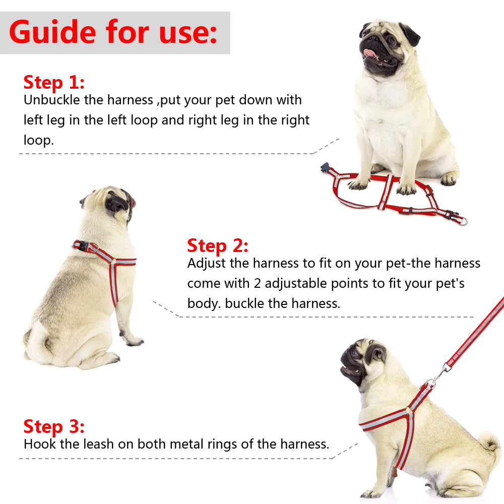 Arnés Reflectante de Nylon para Perros Pequeños y Medianos – Set con Correa, 7 Colores