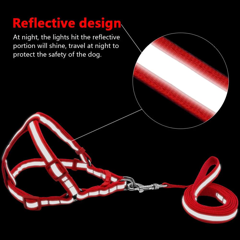 Arnés Reflectante de Nylon para Perros Pequeños y Medianos – Set con Correa, 7 Colores