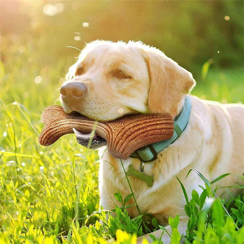 Real Deer Antler Dog Chew Toy – Indestructible Natural Wood for Aggressive Chewers