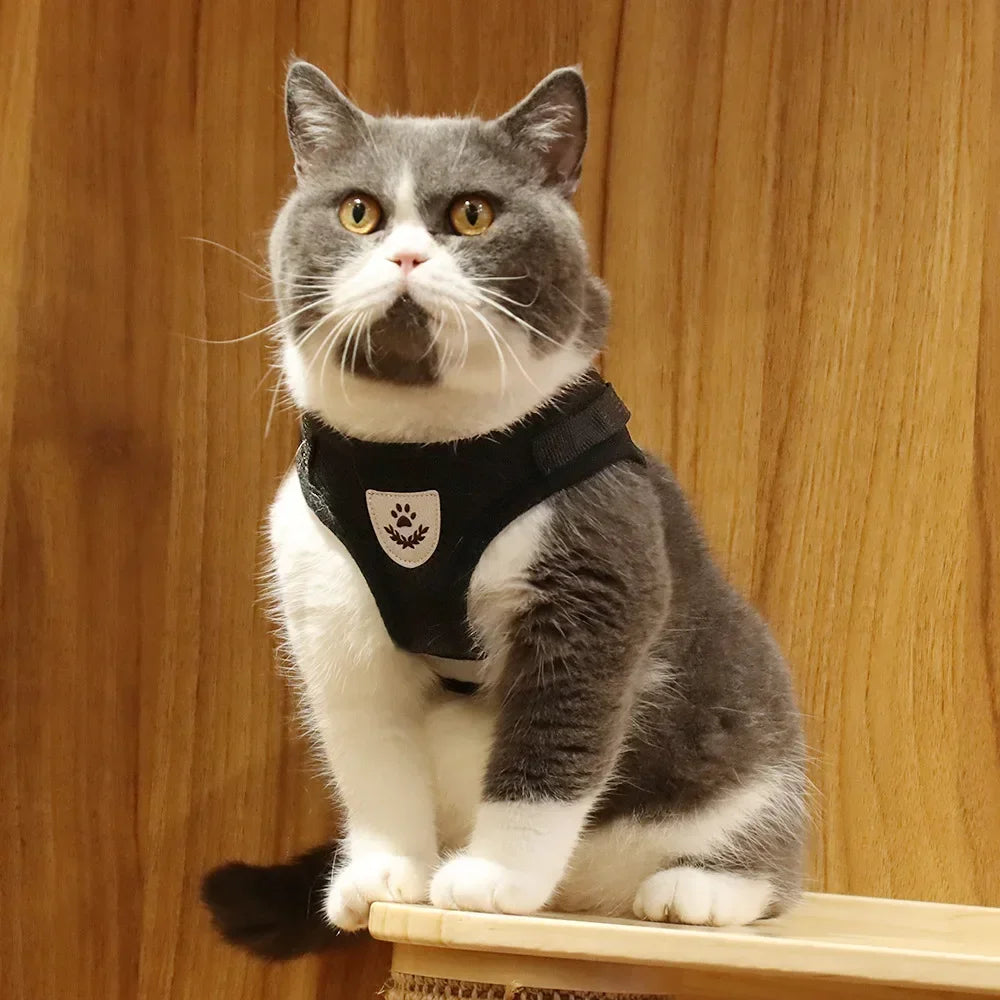 Escape-Proof Cat Harness — Reflective Mesh Vest with Leash, Adjustable
