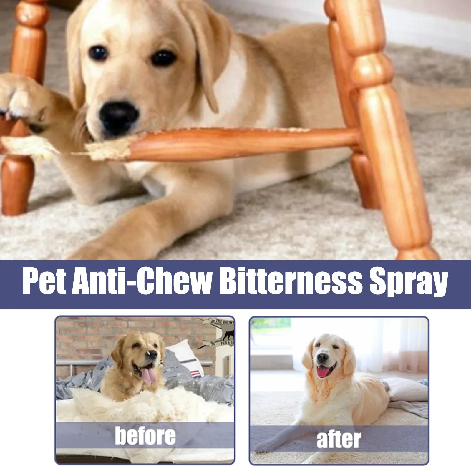 Bitter Spray for Dogs & Cats – Anti-Chew & Scratch Deterrent, 50ml