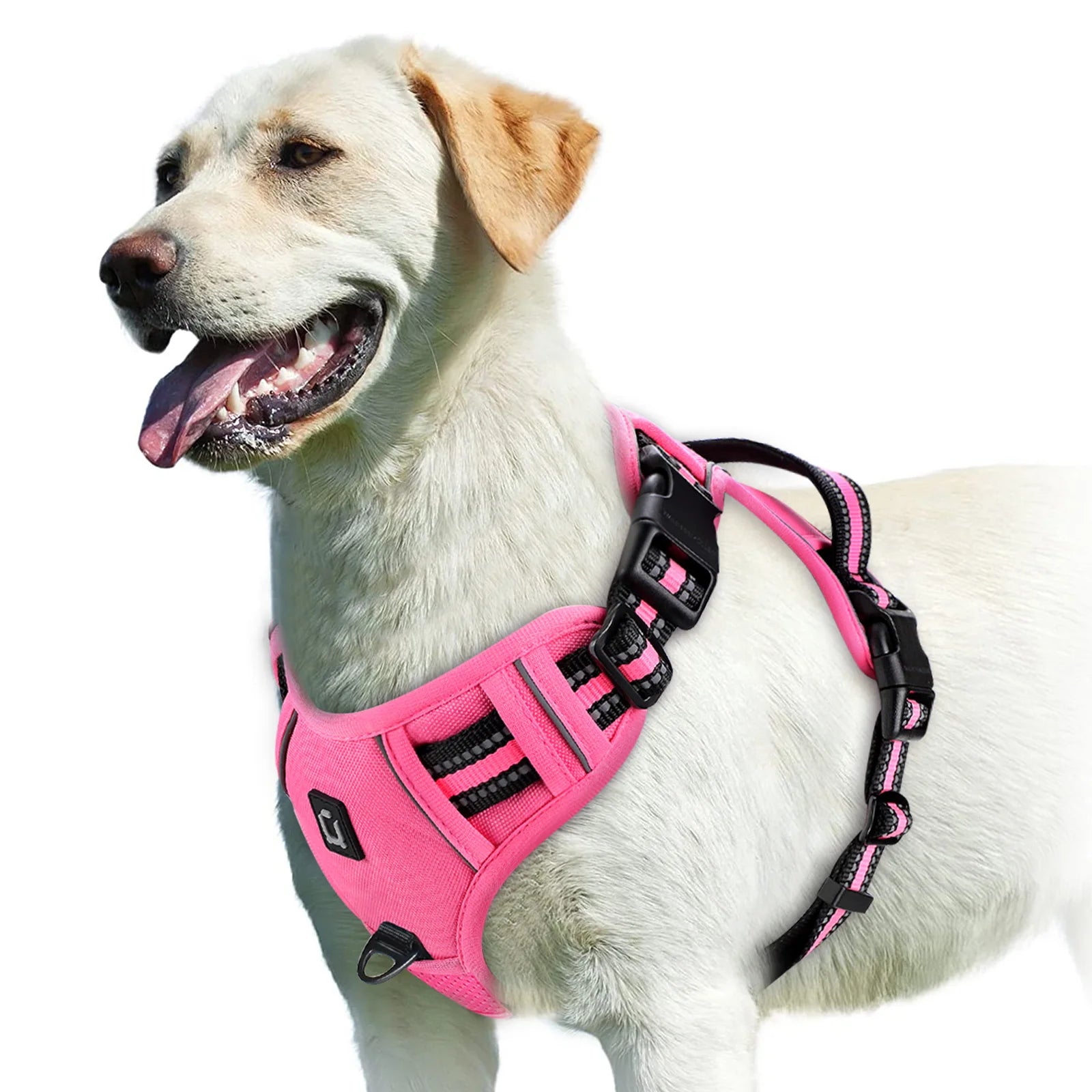 Arnés Sin Jalón para Perros – Chaleco Acolchado Ajustable con Asa de Control