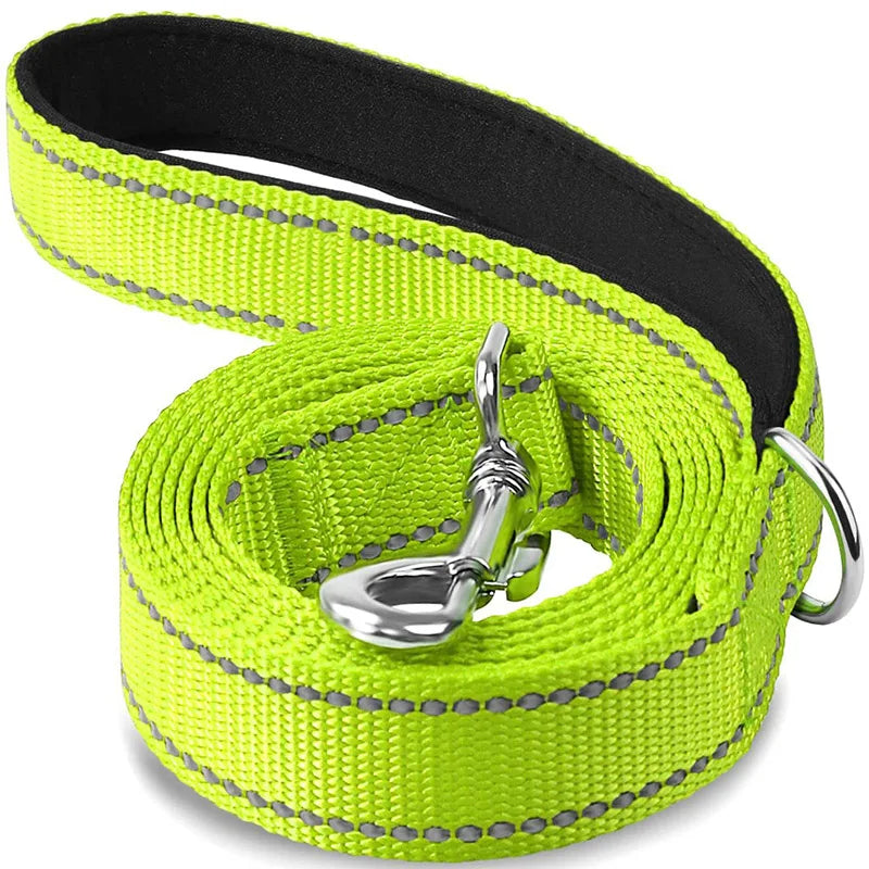 Reflective Dog & Cat Leash — Safe Walks Day and Night