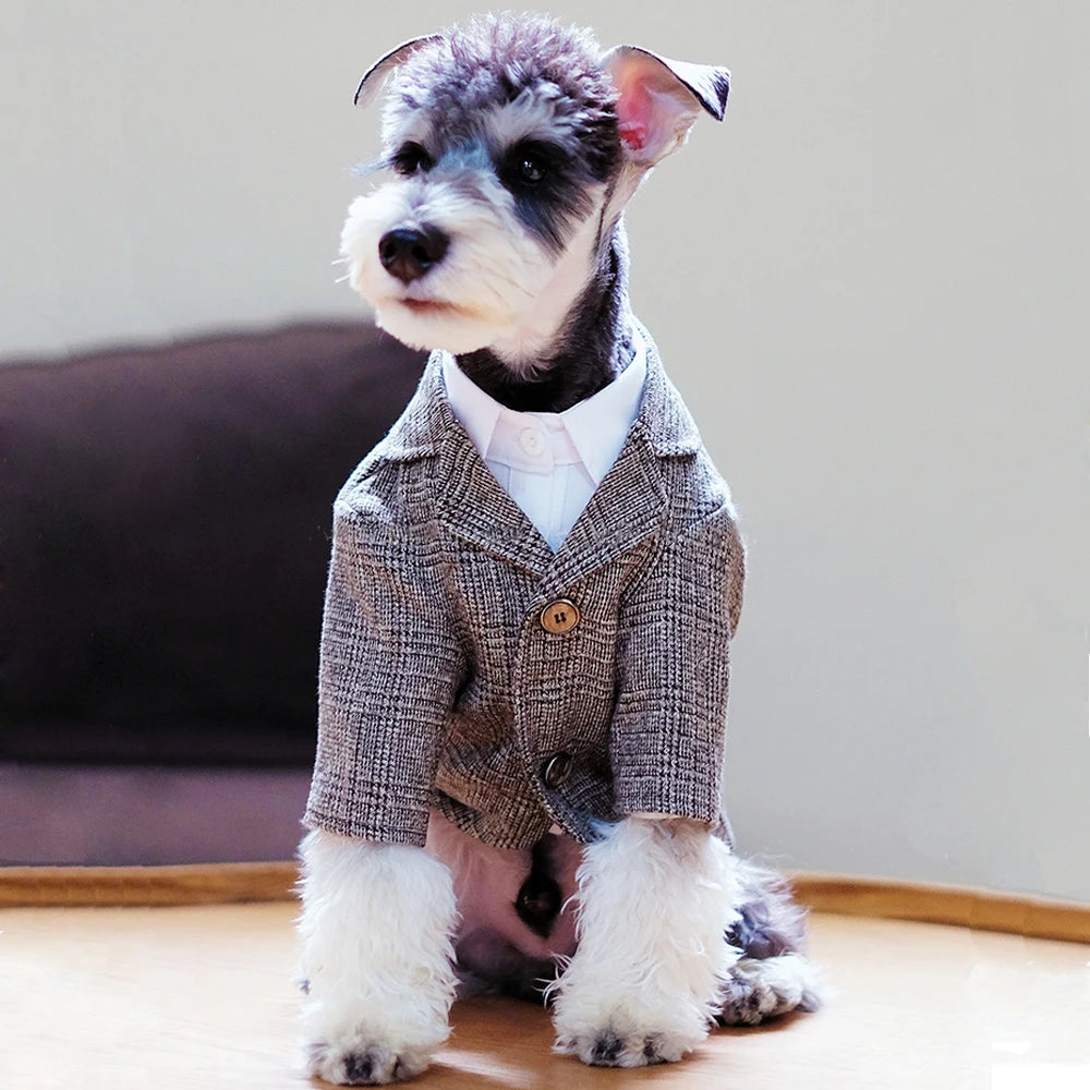 Knight Suit for Dogs and Cats – Jacket and Vest for Weddings and Parties