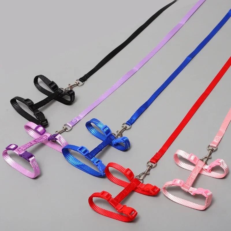 Kitten & Cat Harness and Leash Set — Escape-Proof, Adjustable with Bell