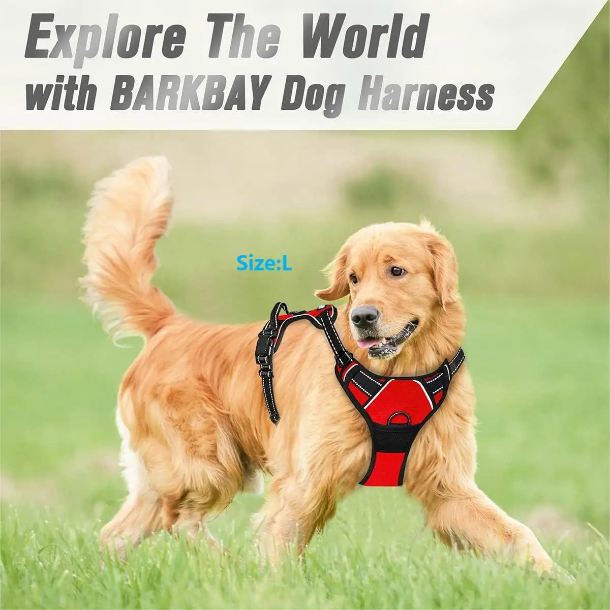 No-Pull Dog Harness — Reflective, Adjustable with Comfortable Handle