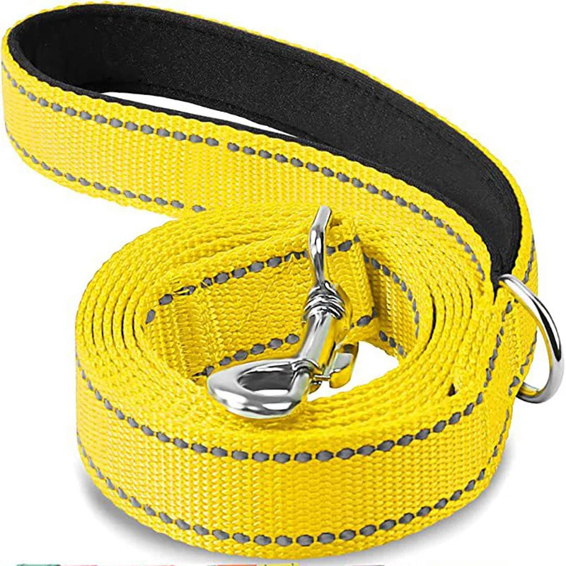 Reflective Dog & Cat Leash — Safe Walks Day and Night