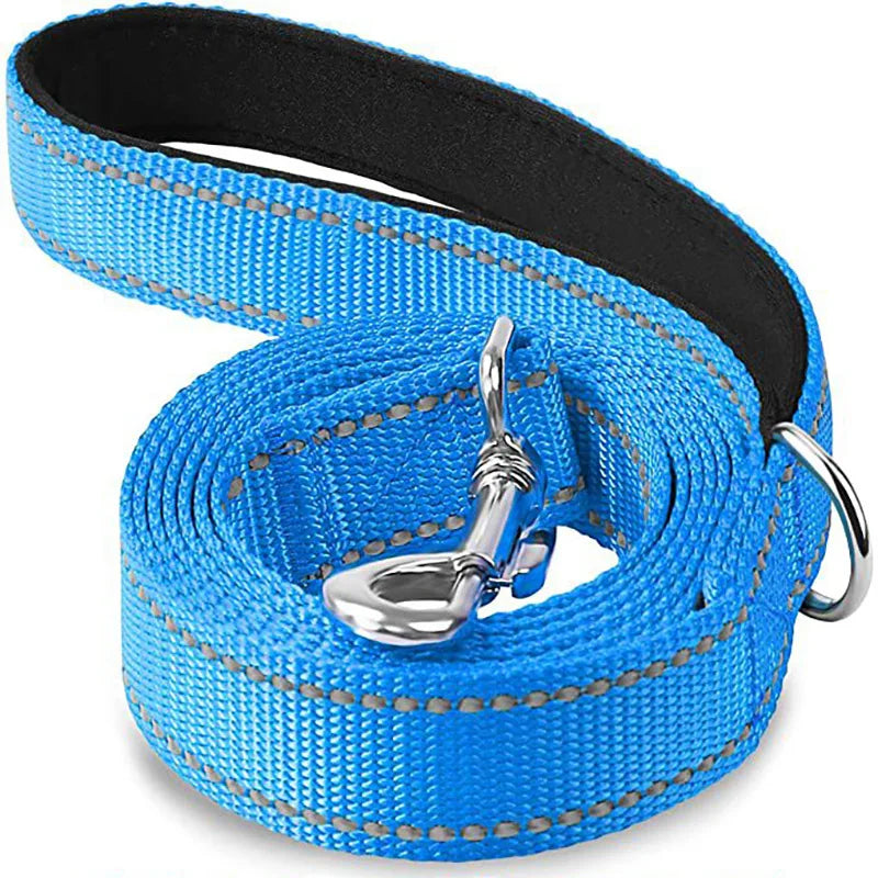 Reflective Dog & Cat Leash — Safe Walks Day and Night