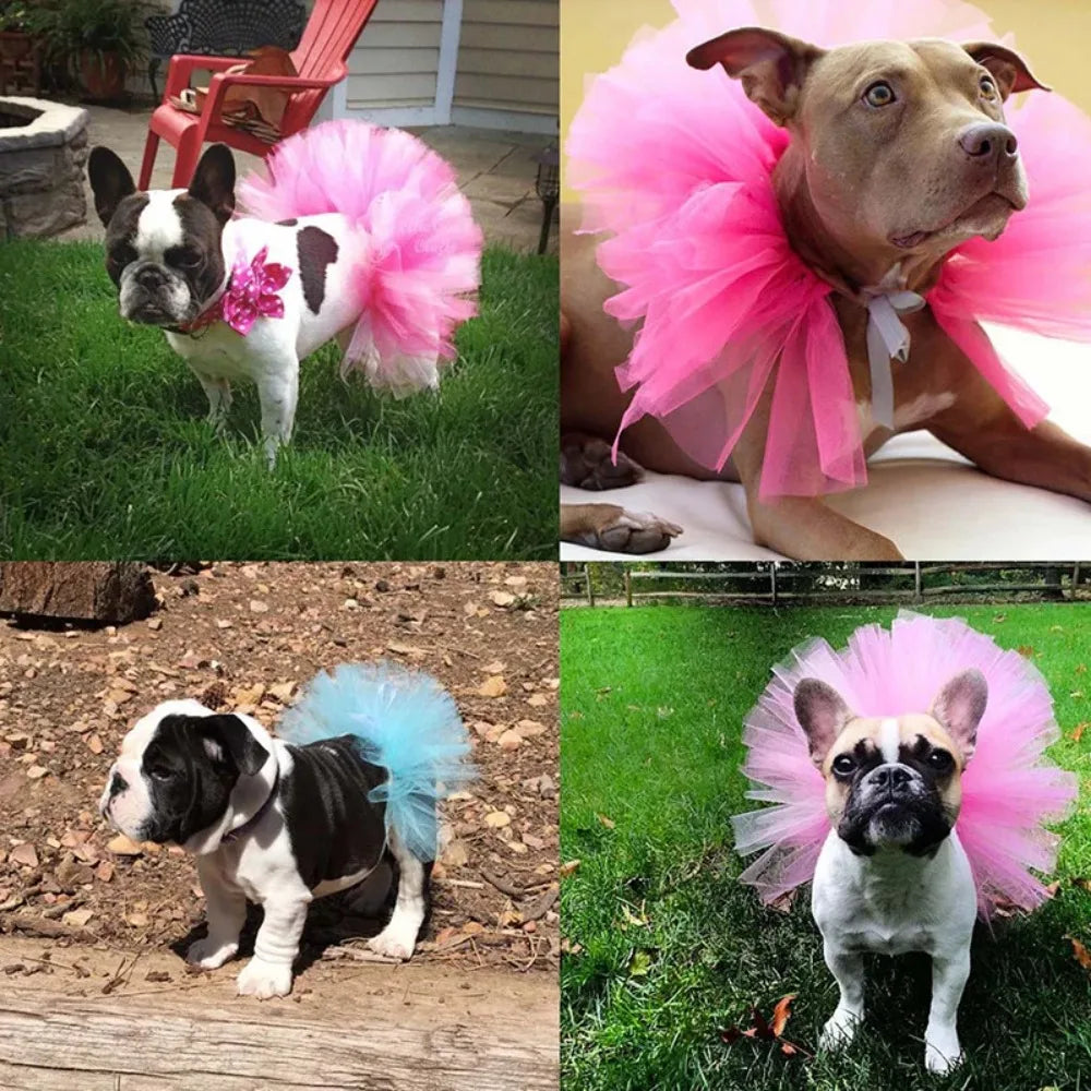 Tutu Dress for Dogs and Cats – Mesh Skirt for Pets