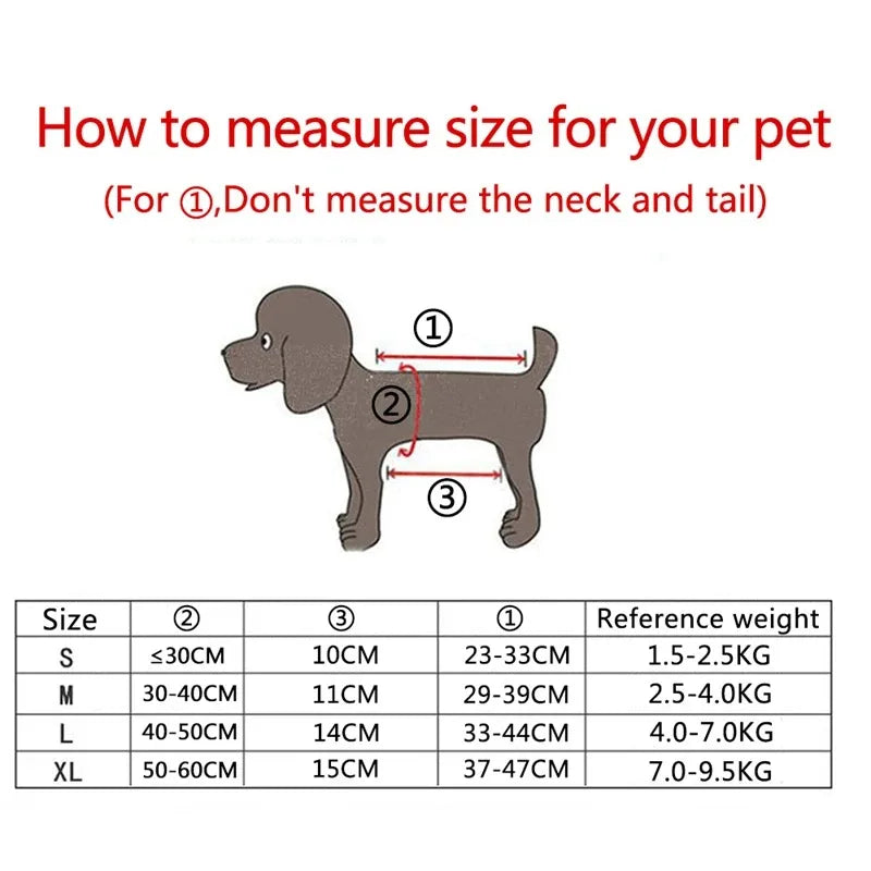 Pet Carrier Backpack for Small Dogs & Cats – Breathable, Secure & Stylish