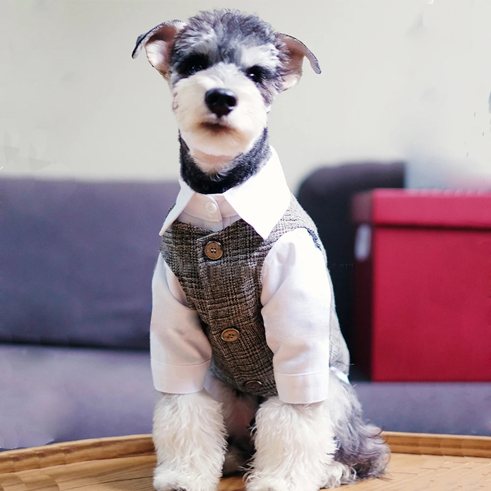 Knight Suit for Dogs and Cats – Jacket and Vest for Weddings and Parties