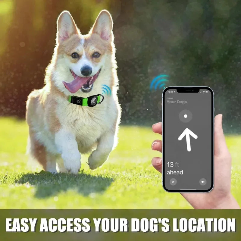 Rechargeable LED Dog Collar with Built-In AirTag Holder — Waterproof & Reflective