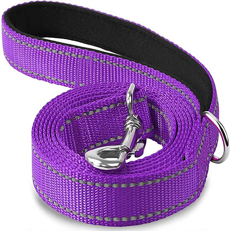 Reflective Dog & Cat Leash — Safe Walks Day and Night