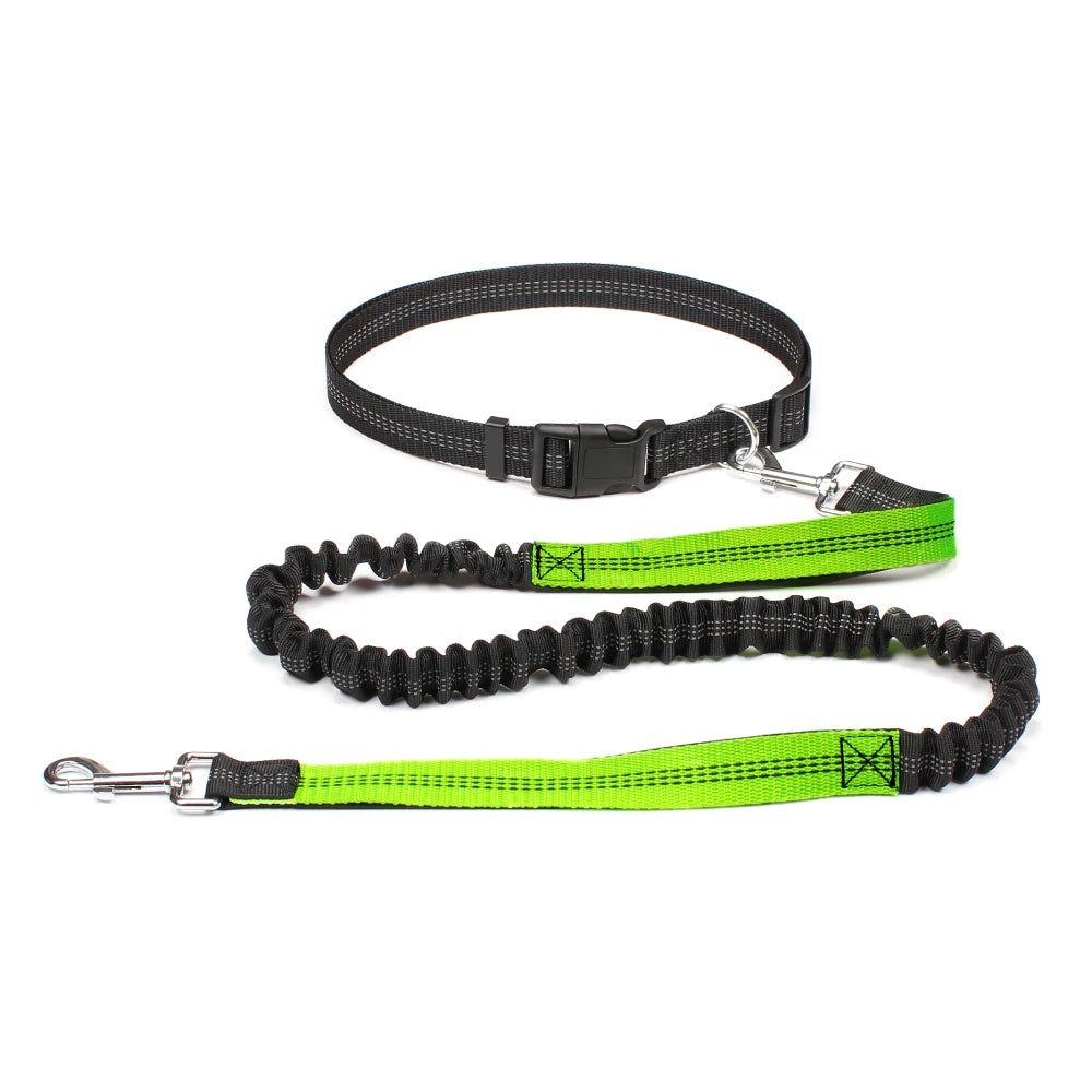 Hands-Free Dog Leash — Adjustable, Reflective & Comfortable for Running & Walking
