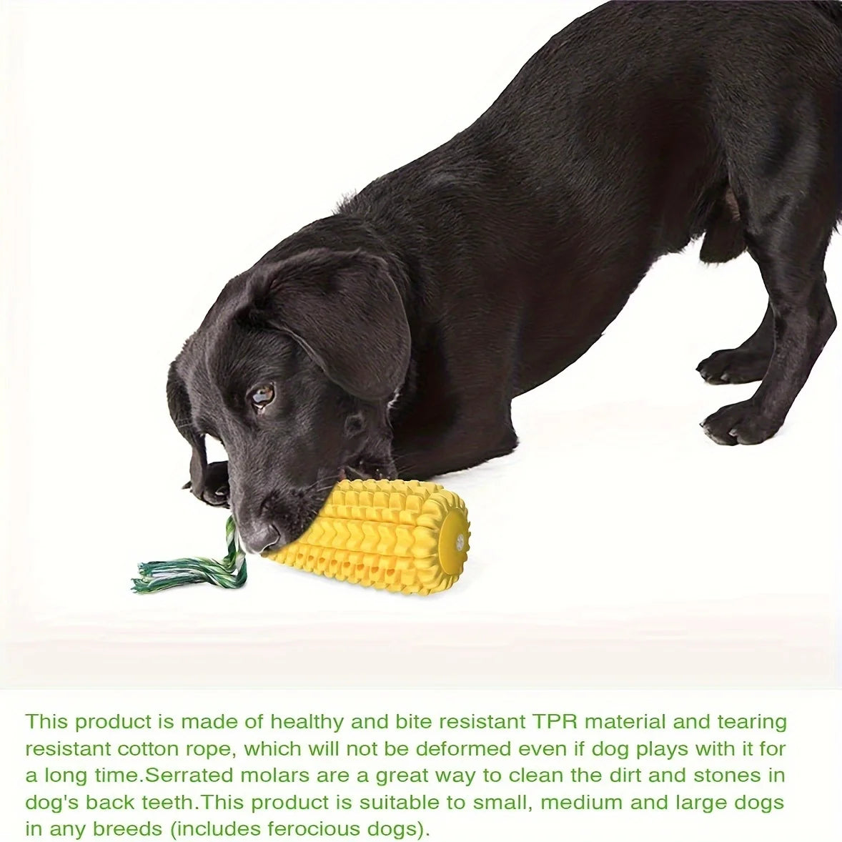 Corn Dog Chew Toy – Durable TPR Rubber, Silent or Squeaky – All Breeds