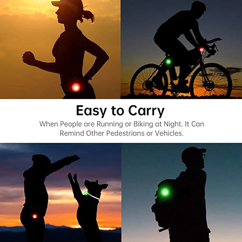USB Rechargeable LED Dog Collar Pendant — Night Safety Light