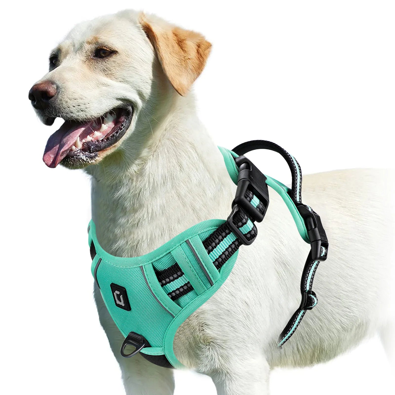 Arnés Sin Jalón para Perros – Chaleco Acolchado Ajustable con Asa de Control