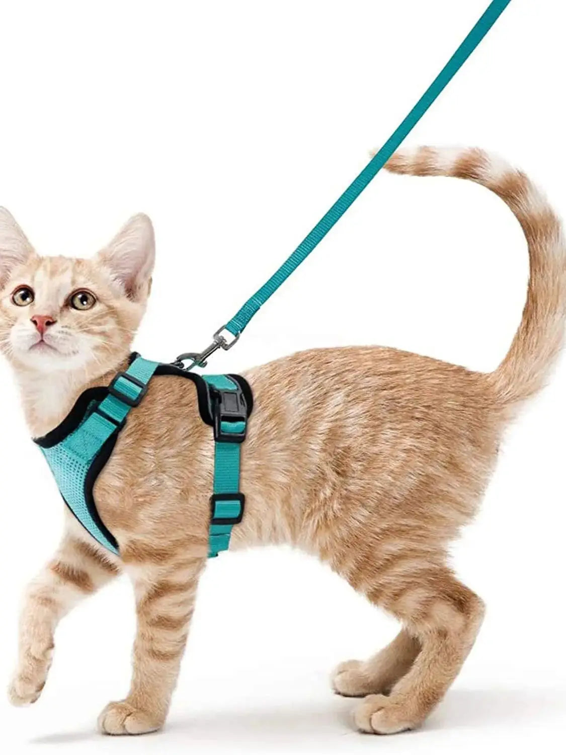 Arnés y Correa para Gatos — Suave, Ajustable y Escape-Proof