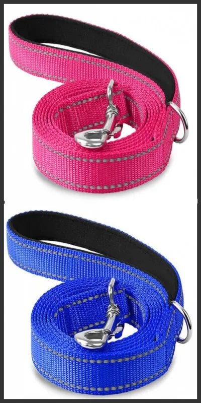 Reflective Dog & Cat Leash — Safe Walks Day and Night