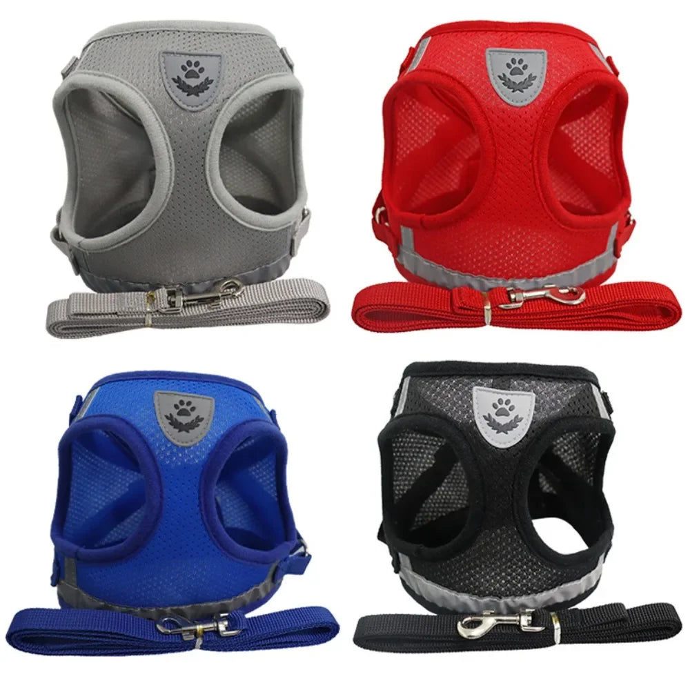 Escape-Proof Cat Harness — Reflective Mesh Vest with Leash, Adjustable