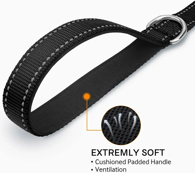 Reflective Dog & Cat Leash — Safe Walks Day and Night
