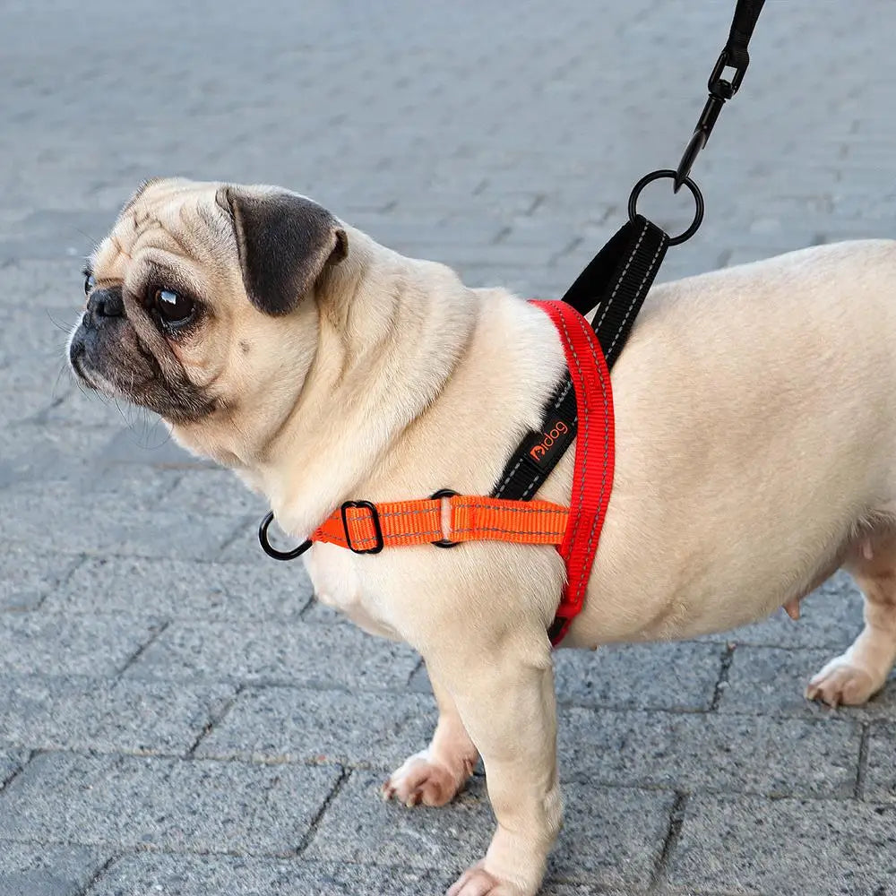 Reflective No-Pull Dog Harness — Padded, Adjustable & Durable