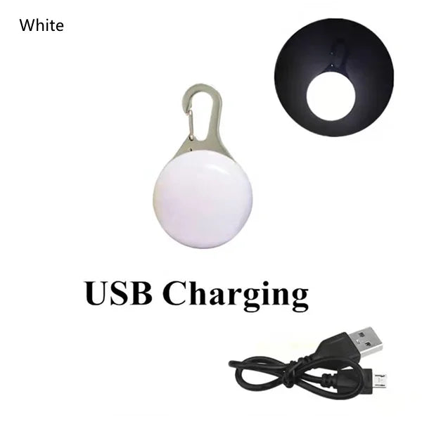 USB Rechargeable LED Dog Collar Pendant — Night Safety Light