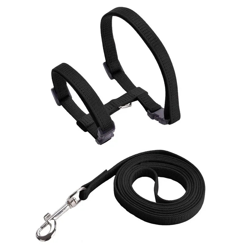 Kitten & Cat Harness and Leash Set — Escape-Proof, Adjustable with Bell