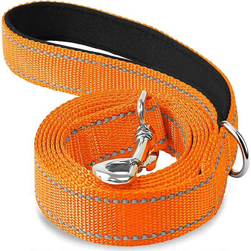 Reflective Dog & Cat Leash — Safe Walks Day and Night