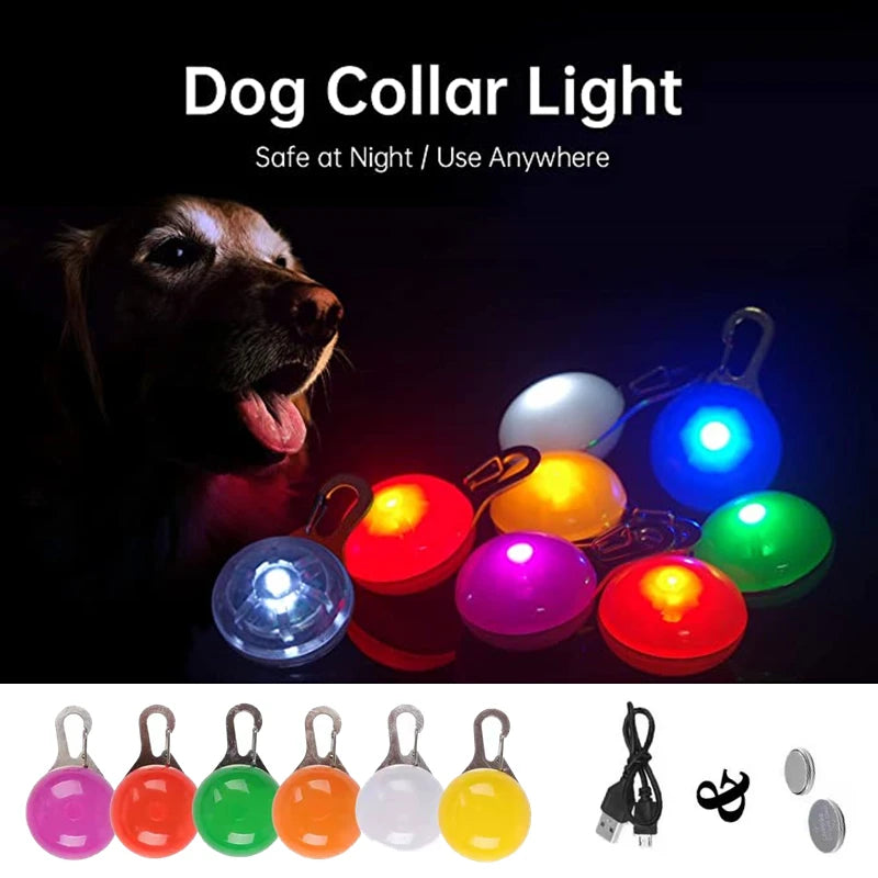 USB Rechargeable LED Dog Collar Pendant — Night Safety Light