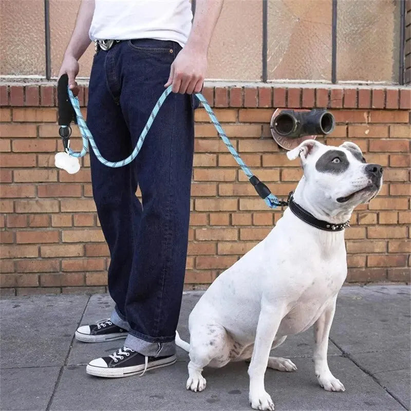Reflective Dog Leash with Padded Handle — Durable Nylon, 7 Colors, 3 Lengths