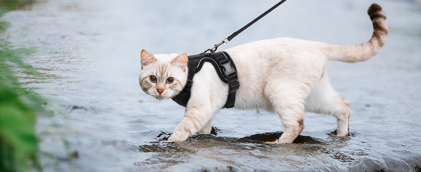 Arnés y Correa para Gatos — Suave, Ajustable y Escape-Proof