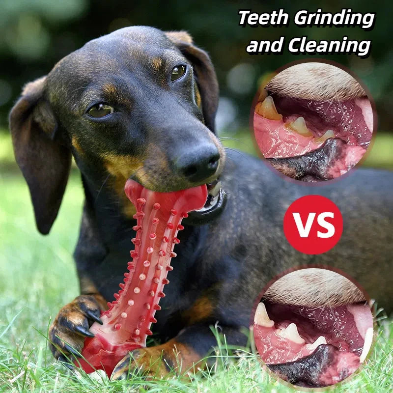 Tough Chew Toy for Large Dogs – Natural Rubber Bone with Beef Flavor & Dental Cleaning