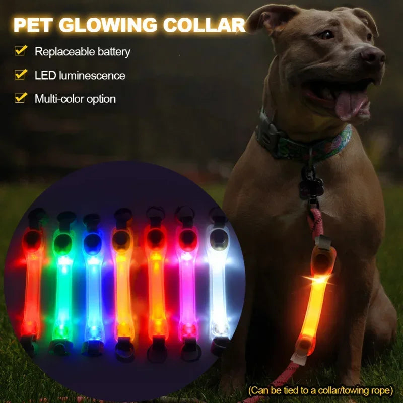 LED Safety Strip for Dogs — Waterproof with Flashing Night Light