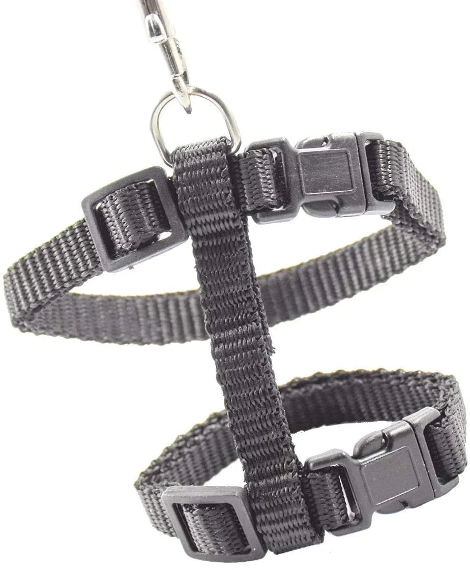 Kitten & Cat Harness and Leash Set — Escape-Proof, Adjustable with Bell