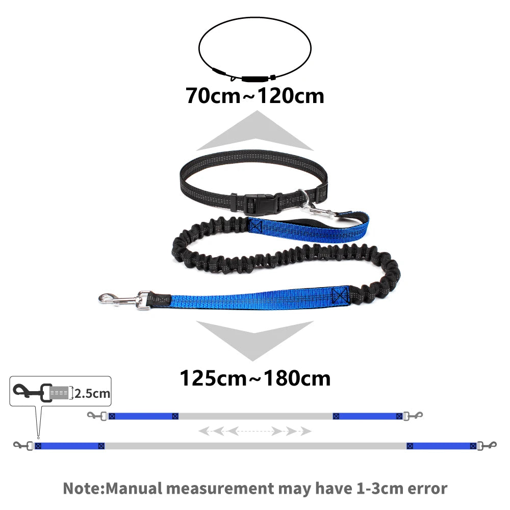 Hands-Free Dog Leash — Adjustable, Reflective & Comfortable for Running & Walking