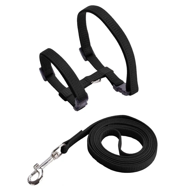 Kitten & Cat Harness and Leash Set — Escape-Proof, Adjustable with Bell