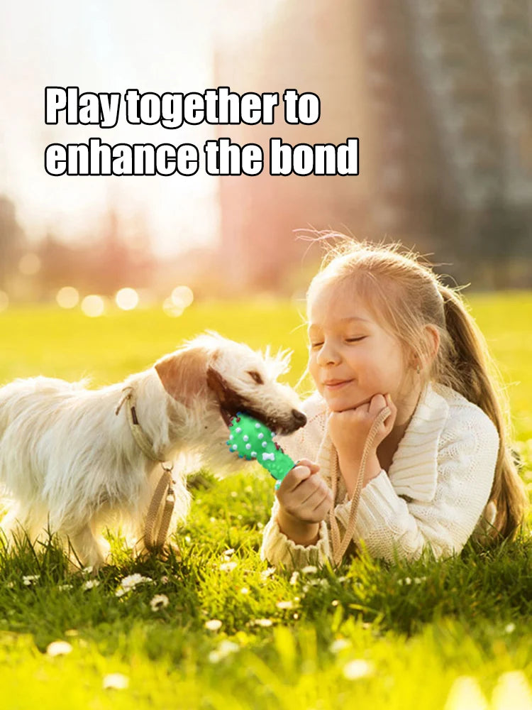 Dog Chew Toy Natural Rubber Safe and Environmentally Friendly Flexible Bite Resistant Cleans Teeth