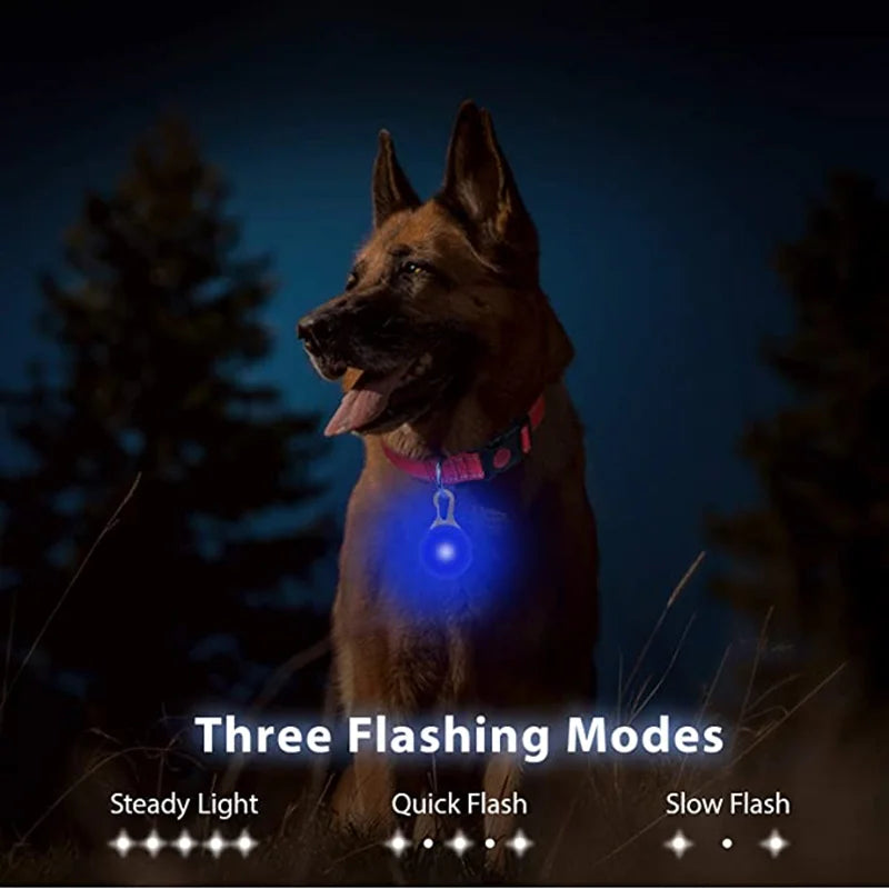USB Rechargeable LED Dog Collar Pendant — Night Safety Light