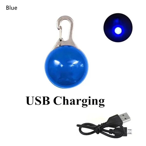 USB Rechargeable LED Dog Collar Pendant — Night Safety Light